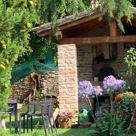 Casa vacanze Casa Cedro - Il Brolo Homes Cavaso Del Tomba